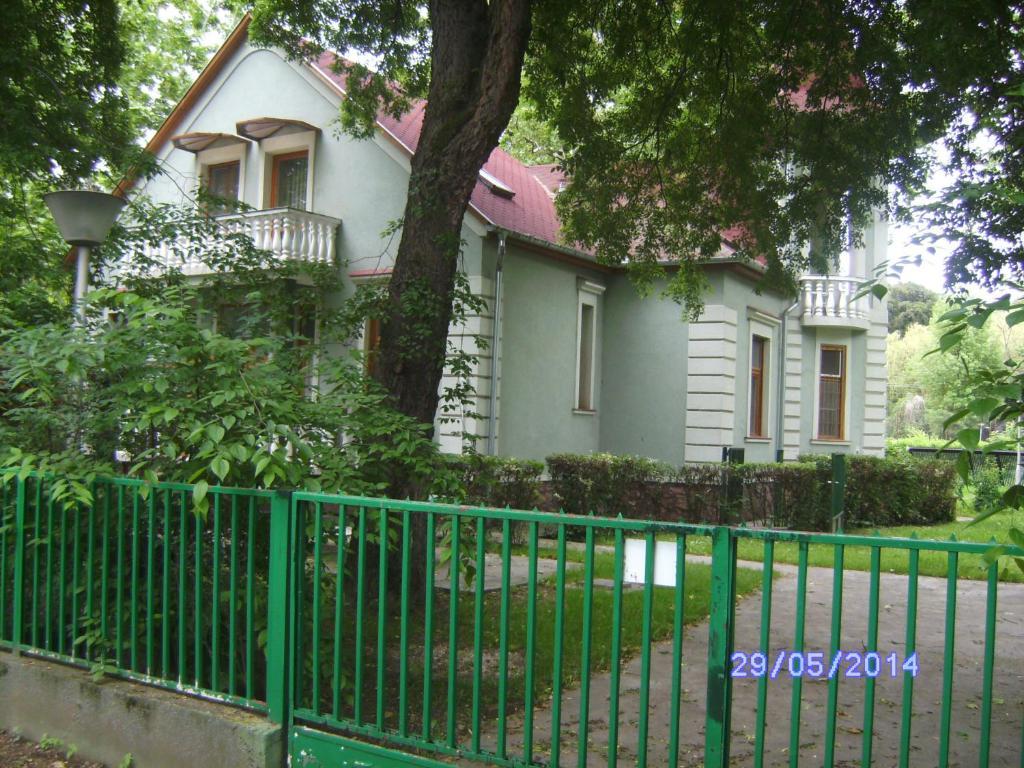 Szemesi Villa 巴拉顿扎佐 外观 照片